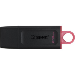 Kingston Exodia 256Gb Datatraveler Usb3.2 (Dtx/256Gb)