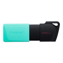 Kingston Exodia M 256Gb Datatraveler Usb3.2 (Dtxm/256Gb)